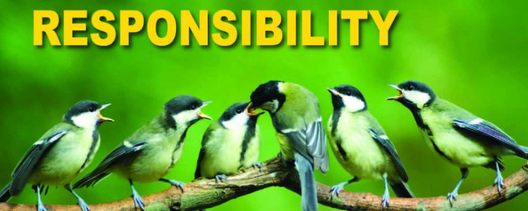 Responsibility Pledge