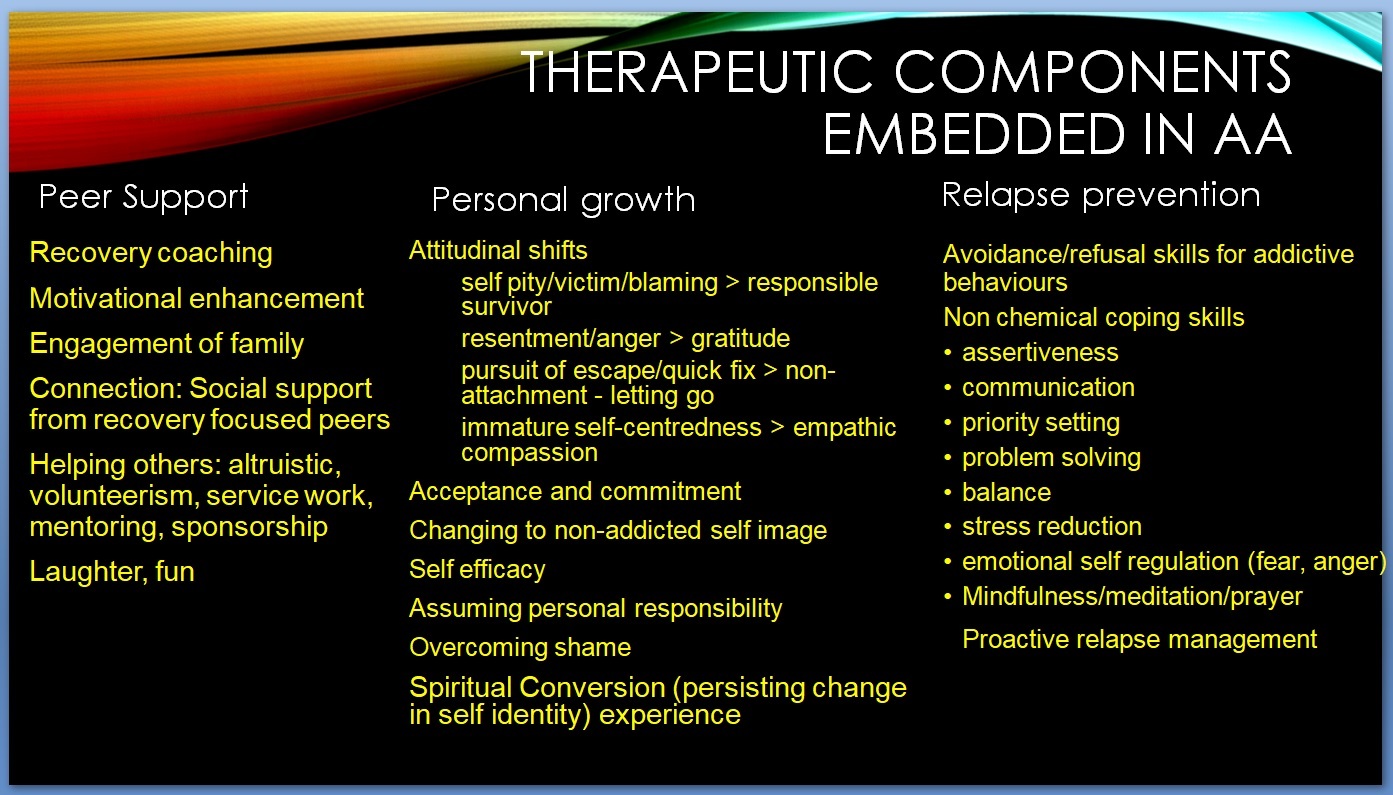 Therapeutic Components of AA